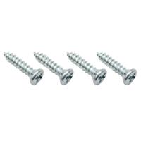 SCREW SET WINDSCREEN MOULDING FRONT FE FC Holden 4 Pieces