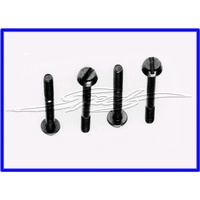 FUEL BOWL SCREWS 2 1/2in long Model 4150 & 4165