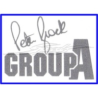 SL GPA Guard Decal Silver