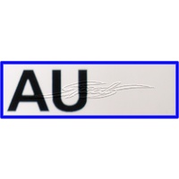 BRAKE BOOSTER AU HDT BROADCAST DECAL APPROX 99MM SUITS VC COMMODORE