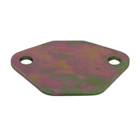 EGR BLANKING PLATE