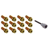 Extractor Bolts 3/8-16 x 7/8 Inch Allen Head Suits all gm and chev
