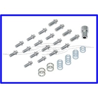 CHROME TIMING CASE / SUMP BOLTS SUIT CHEV Kit includes 14-1/4'-20 x 1/2' and 4-5/16'-18 x 3/4' bolts with 12 point heads