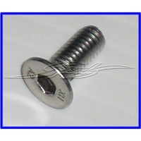 SCREW S/STEEL 16MM LONG 15-16 AERO CAP T