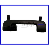 HANDLE ASM-ASSIST *ONYX VE WM PANIC HANDLE