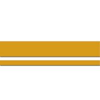 STRIPE KIT XT FALCON GT GOLD REFLECTIVE