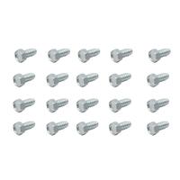 GRILLE & PILLAR TO FENDER SCREWS 48 FX FJ (20 PCS)