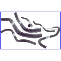 RADIATOR HOSE PACKAGE VT VX V6