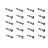 SCUFF PLATE SCREW KIT STAINLESS STEEL 20