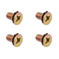 SCREW KIT DOOR LOCK VB VC VH VK VL ( 2 DOORS ) M6 X 12 CR Gold