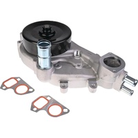 Water Pump VZ VE LS2 LS3