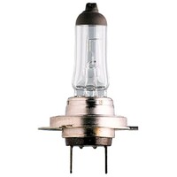 GLOBE H7 HALOGEN 100W
