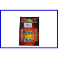 SUMP BOLT KIT CHROME GREY MOTOR FJ-EJ
