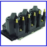 IGNITION COIL PACK AND MODULE VN S2 VP VR VS VT VX VY VU WH WK 6 CYLINDER COILPACK
