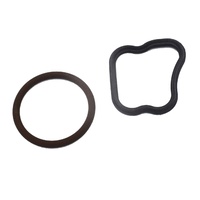 WATER INLET GASKETS VZ VE ALLOYTEC V6 ORINGS