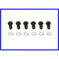 FLYWHEEL BOLTS SUIT HOLDEN & CHEV V8 MANUAL