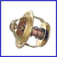 rodeo diesel thermostat