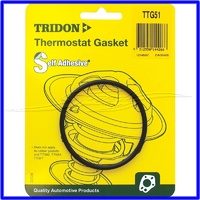 VS VT 5 litre thermostat gasket oring