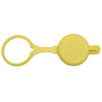 CAP WINDSCREEN WASHER VL - VZ (WITH SYMBOL)