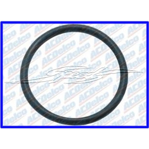 THERMOSTAT GASKET ORING VN V6 SERIES 1