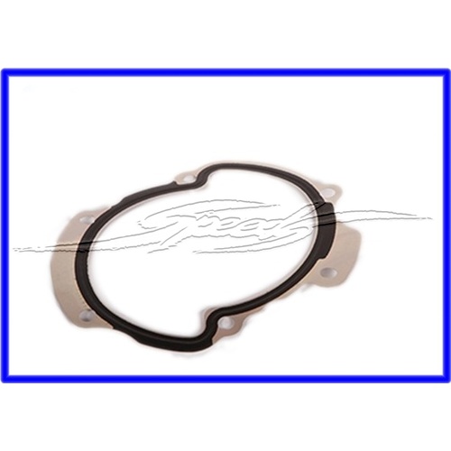 WATER PUMP GASKET VZ VE V6 ALLOYTEC WAS 12576326
