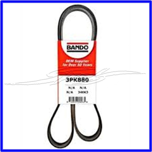 FAN BELT RIBBED