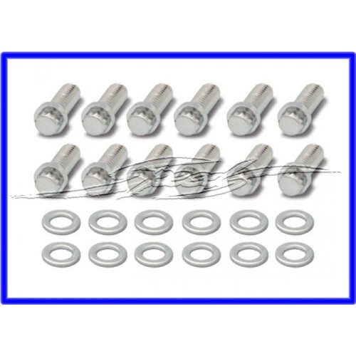 INTAKE MANIFOLD BOLTS CHROME 12 POINT FITS SMALL BLOCK CHEVROLET 265-400 and CHRYSLER / HEMI 273-440