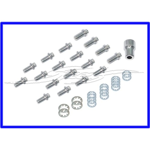 CHROME TIMING CASE / SUMP BOLTS SUIT CHEV Kit includes 14-1/4'-20 x 1/2' and 4-5/16'-18 x 3/4' bolts with 12 point heads