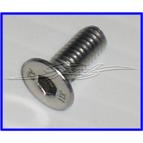 SCREW S/STEEL 16MM LONG 15-16 AERO CAP T