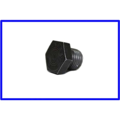 vt v6 sump plug small type