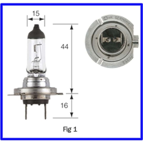 h7 12v55w globe