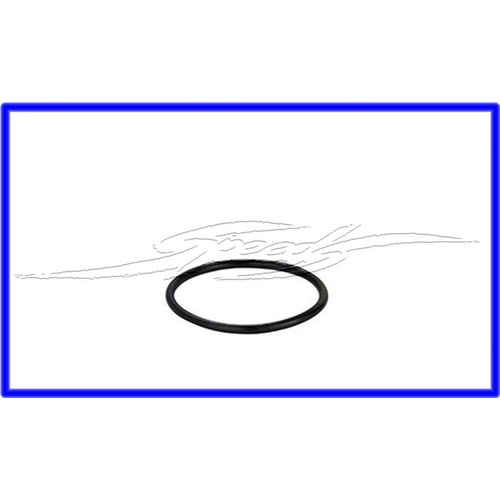 SEAL FUEL SENDER (O RING) VT VX VY