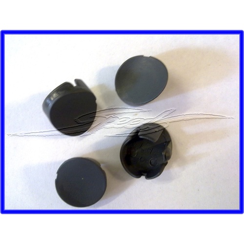 CAP RH DOOR HANDLE INNER SCREW COVER 17i GREY VT VX VU