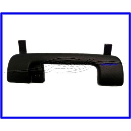 HANDLE ASM-ASSIST *ONYX VE WM PANIC HANDLE