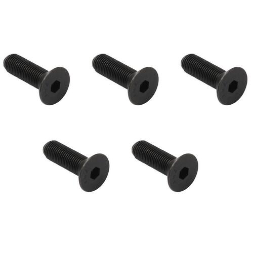 SCREW KIT DISC BRAKE ROTOR HD HR
