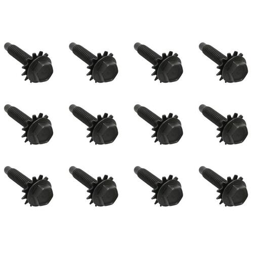 DOOR HINGE BOLT SET XR XT XW XY ZA ZB ZC ZD (One Door 12 Pcs)