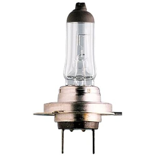 GLOBE H7 HALOGEN 100W