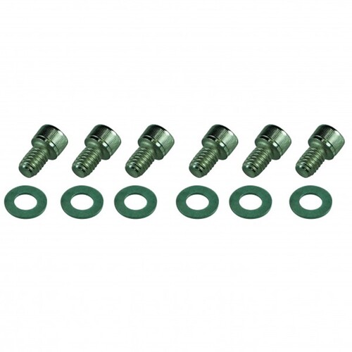 Chrome Side Plate Bolts Hold 6