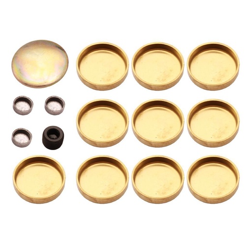 WELCH PLUG KIT HOLDEN V8 253 308